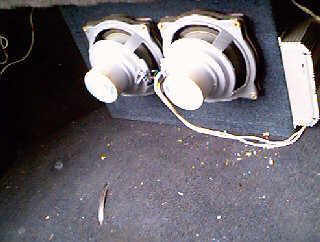 dinamic17-11.jpg