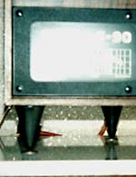dinamic36-2.jpg