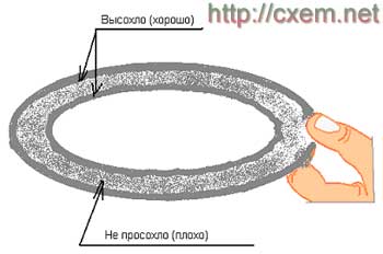 dinamic76-4.jpg